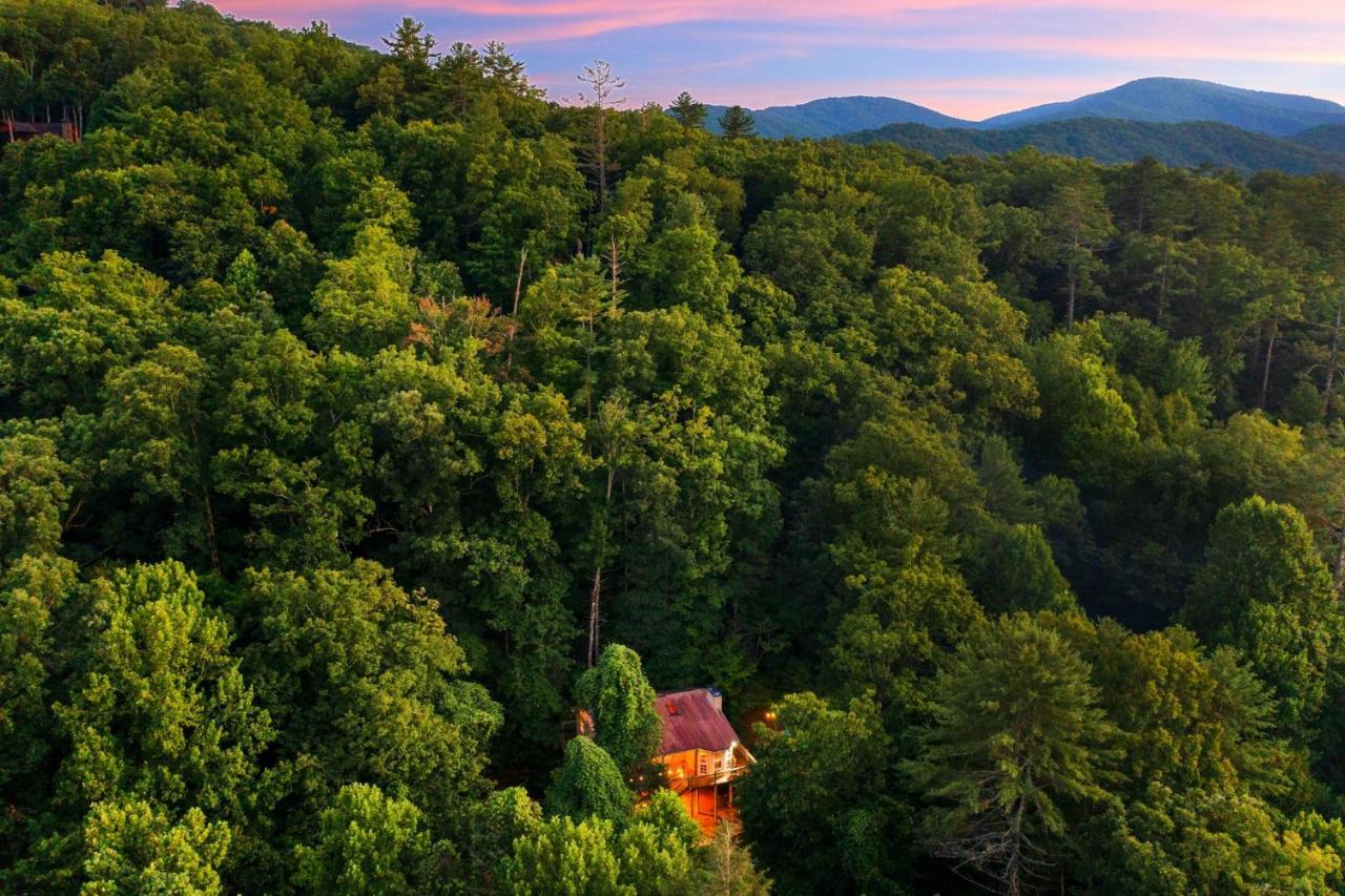 Cozy Cabin Retreat - Hot Tub, Fireplace & Fire Pit Blue Ridge Exterior photo